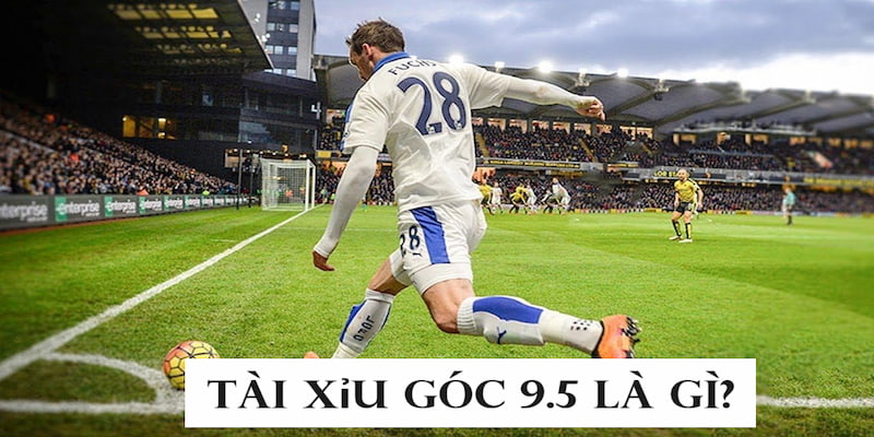 Tài xỉu góc 9.5 gamewin đang được nhiều bet thủ lựa chọn