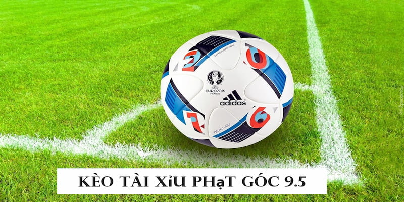 Tài Xỉu Góc 9.5 Gamewin Là Gì? Bí Kíp Chơi Góc 9.5 Trái